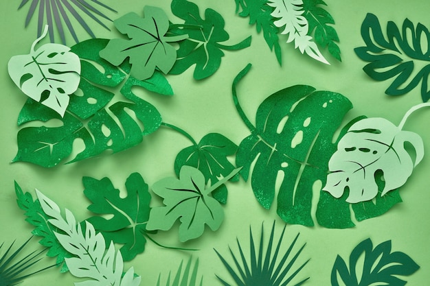 Vue de dessus, feuilles tropicales en papier sur papier vert