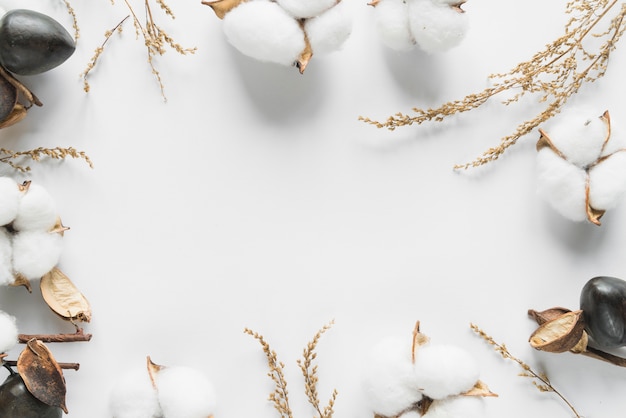 Photo vue de dessus des fleurs de coton