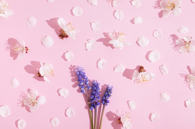 Vue de dessus des fleurs et des pétales sur fond rose avec des ombres dures Motif de fleurs de printemps