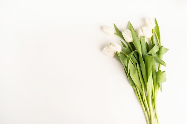 Vue de dessus de fleurs de tulipes blanches fraîchement coupées sur fond blanc