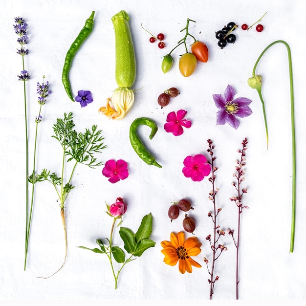 Vue de dessus d'un fond blanc de divers légumes, baies et fleurs de votre jardin.