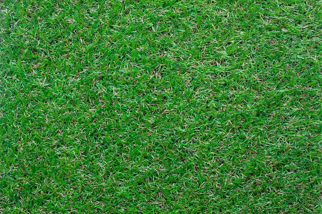 Vue de dessus fond d&#39;herbe verte.