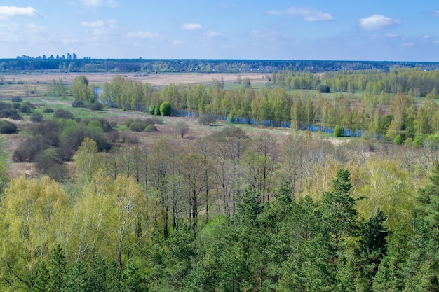 Vue de dessus de la forêt. Vue aérienne au sommet des arbres et de la rivière.