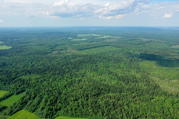 vue de dessus de la forêt, vue panoramique du paysage de la forêt d'été avec vue aérienne du quadricoptère