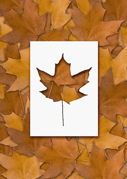 Photo vue de dessus des formes de feuilles d'automne