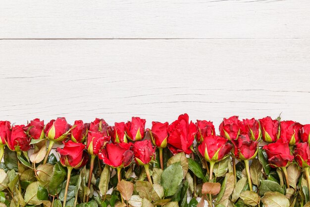 Vue de dessus fraîche fleur rose rouge sur le pont en bois blanc