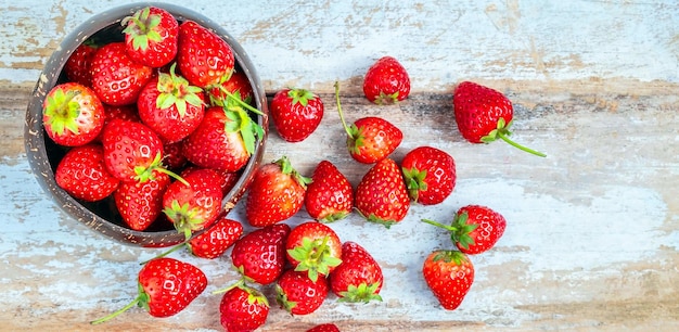 Vue de dessus des fraises rouges fraîches dans un bol sur un vieux fond de bois bleu