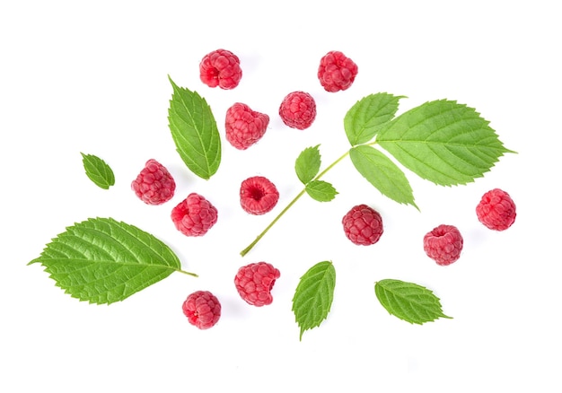 Photo vue de dessus des framboises et des feuilles vertes isolées sur fond blanc