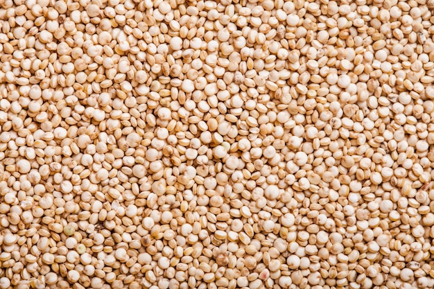 Vue de dessus des graines de quinoa blanc en arrière-plan