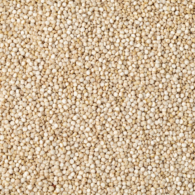 Vue de dessus gros plan des grains de quinoa crus toile de fond alimentaire