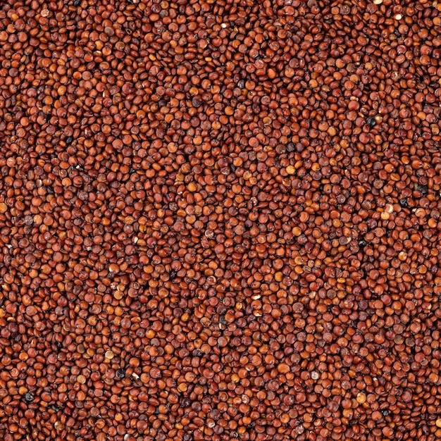 Photo vue de dessus, gros plan de grains de quinoa rouge cru. toile de fond alimentaire.