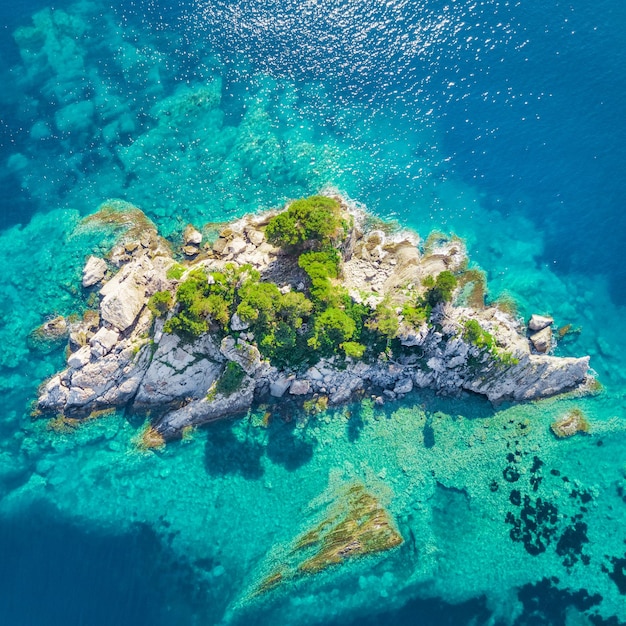 Vue de dessus de l'île avec des plantes vertes