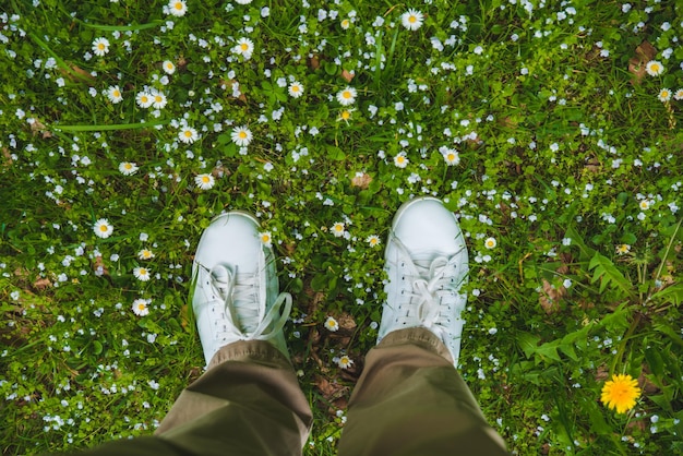 Vue de dessus jambes en chaussures blanches sur l'herbe avec espace de copie de fleurs blanches