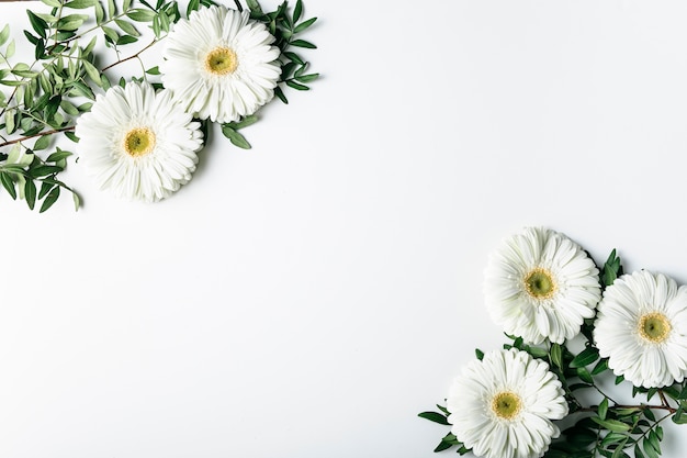 Photo vue de dessus de marguerites blanches