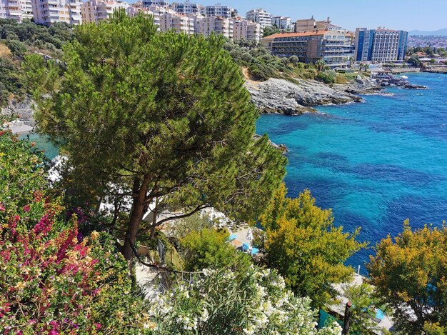 Vue de dessus sur la mer et le jardin de pins bougainvilliers mimosas et autres fleurs La mer Égée Turquie Kusadasi Europe