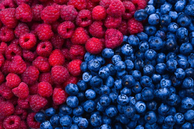 Vue de dessus de myrtilles et framboises