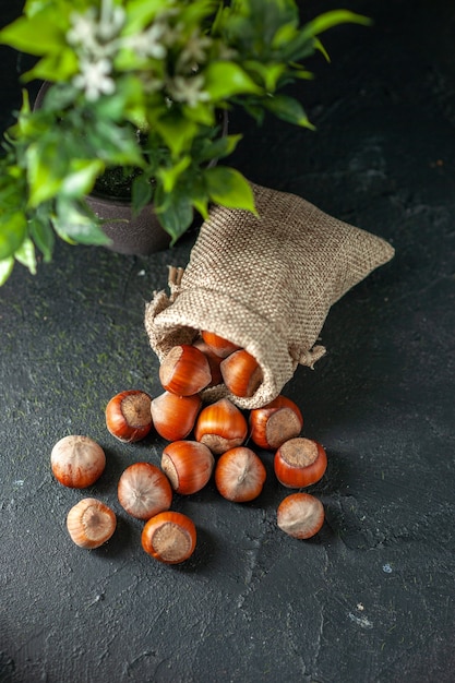 Vue de dessus des noisettes fraîches à l'intérieur d'un petit sac avec une plante verte sur fond sombre photo couleur écrou obscurité plante de noix