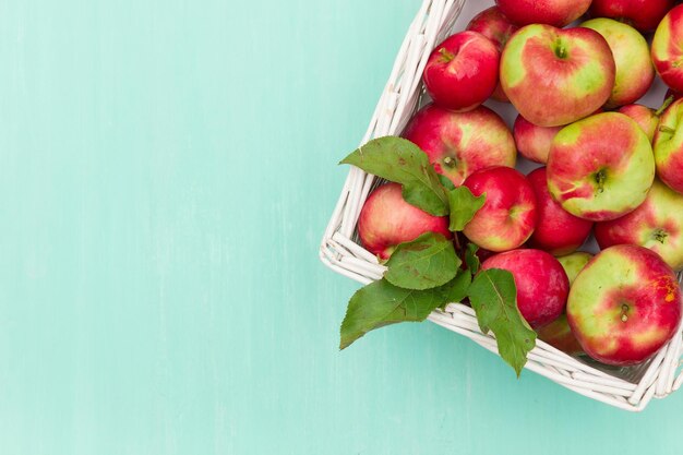 Vue de dessus sur un panier blanc rempli de pommes biologiques rouges fraîches sur fond turquoise Récolte d'automne