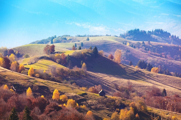 Vue de dessus des pentes colorées des montagnes lors d'une journée ensoleillée d'automne Beau paysage Carpates Carpates Rus Ukraine