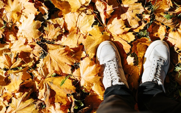 Vue de dessus personne en chaussures grises debout sur un feuillage jaune vif tombé, espace de copie. Saison d'automne, bonjour octobre.