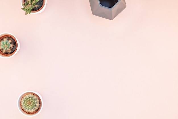 Vue de dessus de petits pots avec des cactus décoratifs