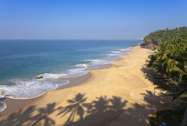 vue de dessus sur une plage de sable de la mer et un palmier. Inde