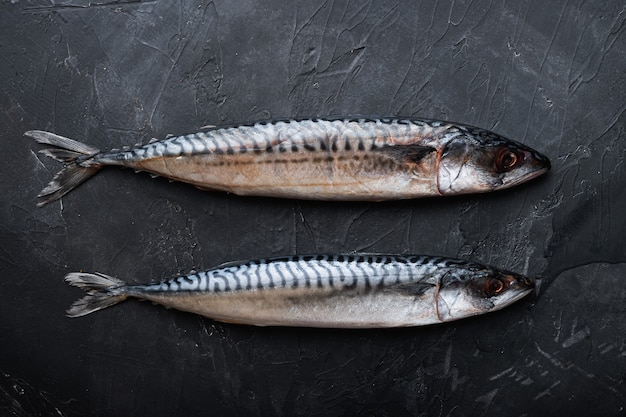 Vue de dessus sur le poisson frais scombers