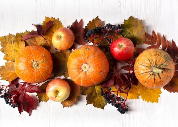 vue de dessus pommes et citrouilles