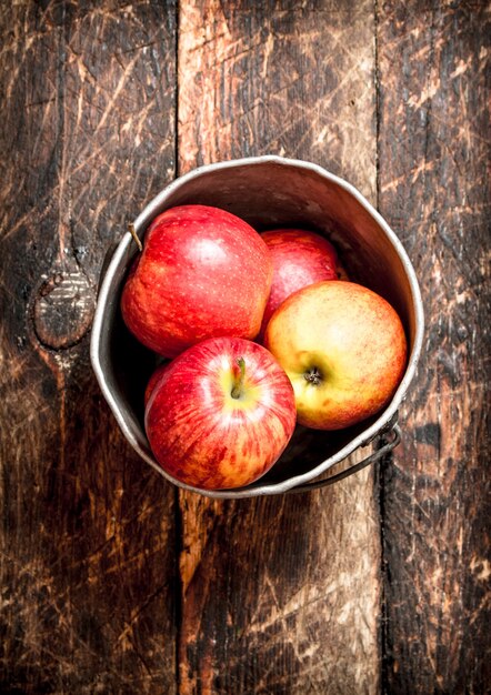Vue de dessus sur les pommes mûres, belles et délicieuses