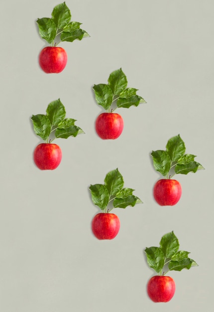 Vue de dessus des pommes rouges sur le fond gris Mise à plat