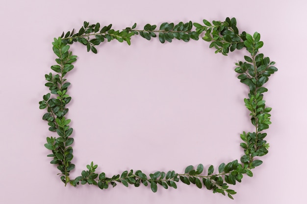 Vue de dessus et pose à plat du cadre de feuilles vertes sur fond rose blanc.