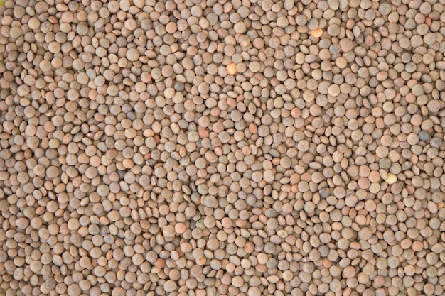 Vue de dessus de Raw Dal ou fond de lentilles