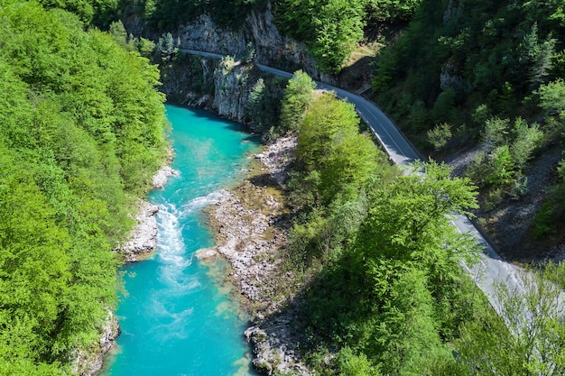 Vue de dessus de la rivière dans les montagnes entourée d'une forêt verte