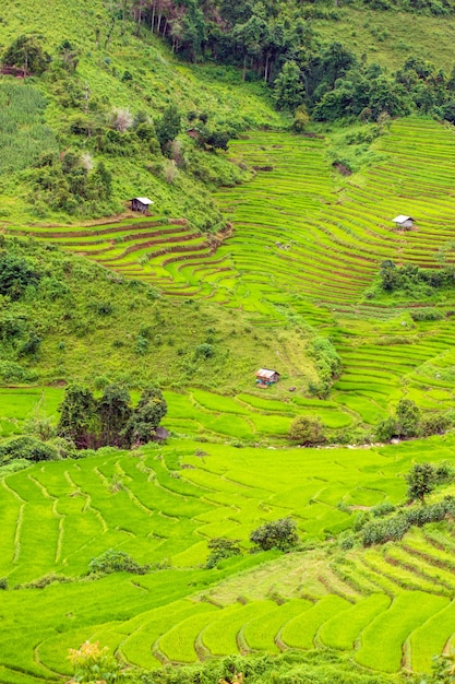 Vue de dessus rizière en terrasse à Mae Cham Chiangmai dans le nord de la Thaïlande