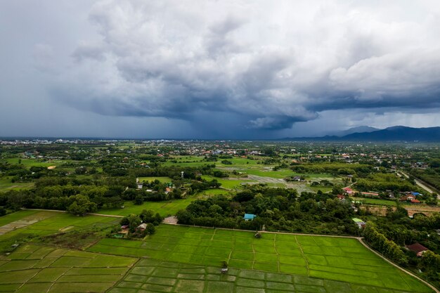 Vue de dessus des rizières en terrasses à Chiangmai dans le nord de la Thaïlande