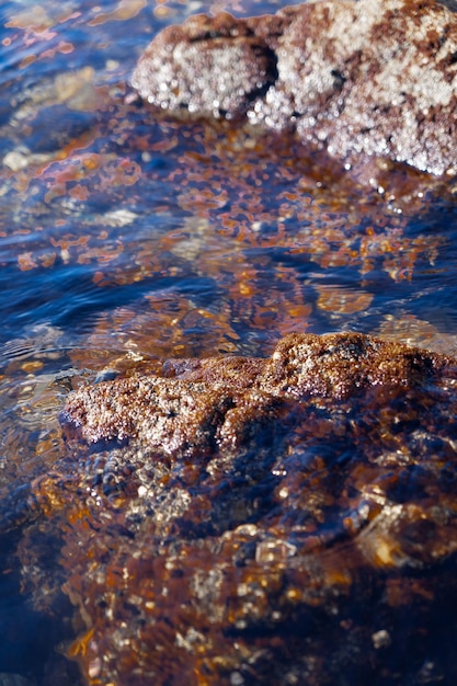 Photo vue de dessus des rochers sous l'eau