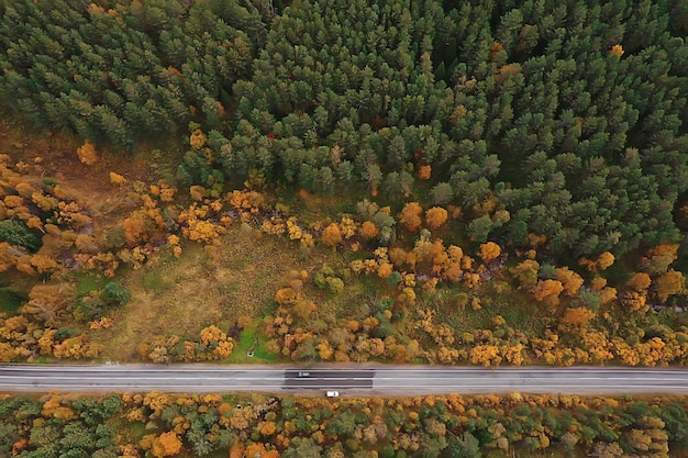 vue de dessus de route d'automne, paysage en automne avec drone