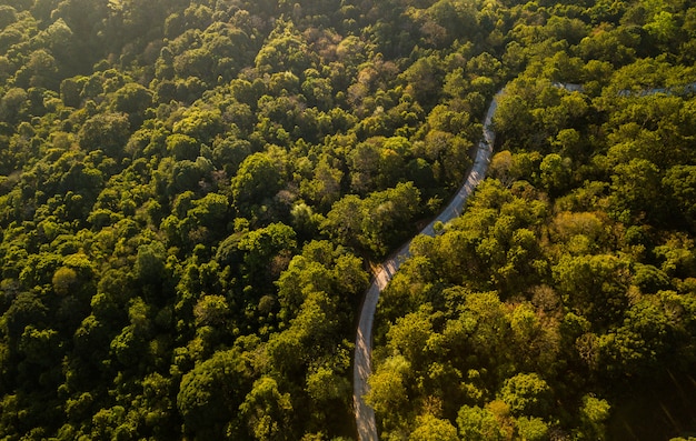 Vue de dessus de la route de campagne passant par la forêt verte et la montagne