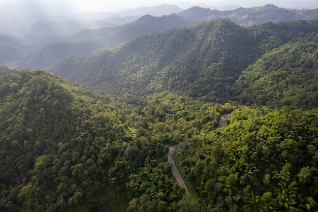 Vue de dessus de la route de campagne passant par la forêt verte et la montagne