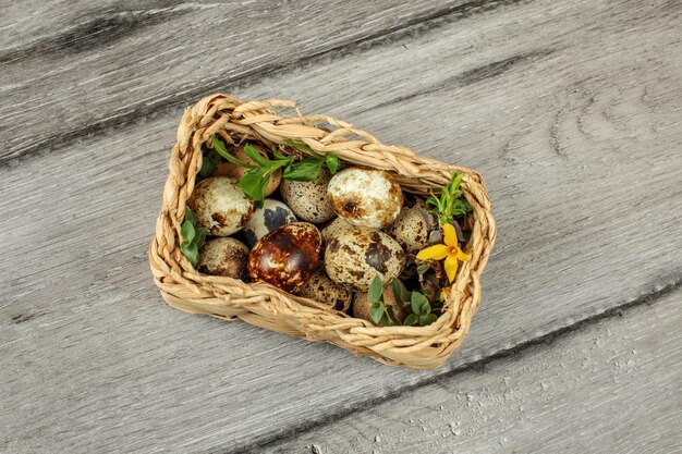 Vue de dessus de table - panier carré avec œufs de caille et quelques feuilles vertes placées sur un bureau en bois gris.