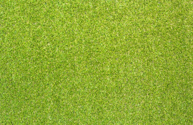 vue de dessus texture d'herbe verte pour le fond