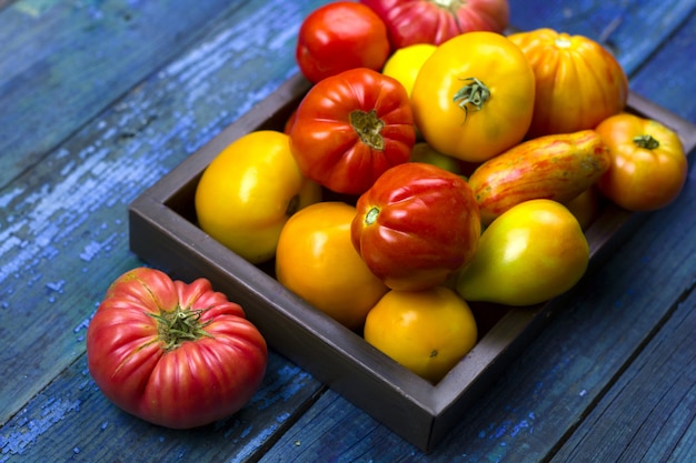 Vue de dessus des tomates fraîches sur un plateau en bois