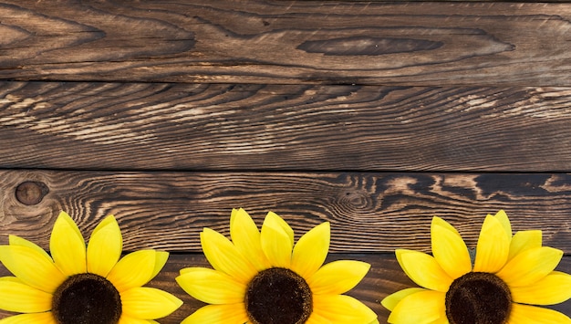 Vue de dessus avec tournesols et espace de copie