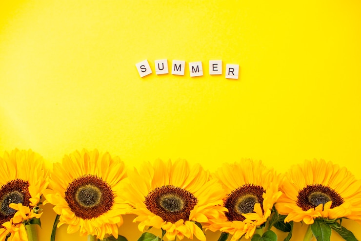 vue de dessus tournesols avec message d'été