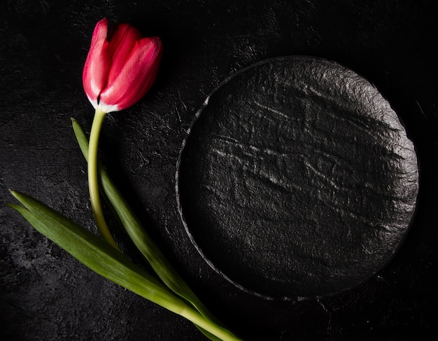 Vue de dessus tulipe rouge sur table