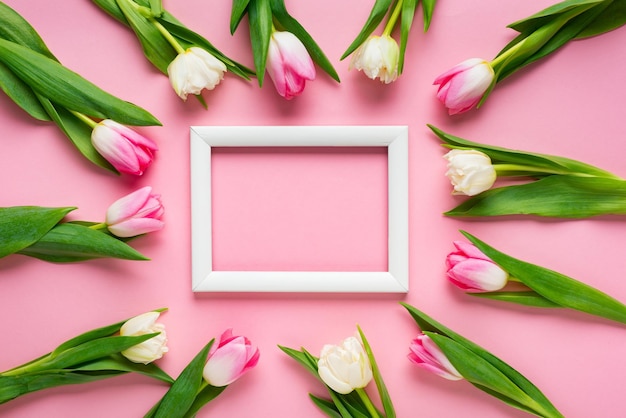 Vue de dessus des tulipes autour d'un cadre vide blanc sur fond rose