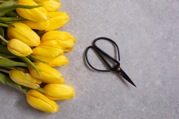 vue de dessus tulipes et ciseaux de fleurs jaunes