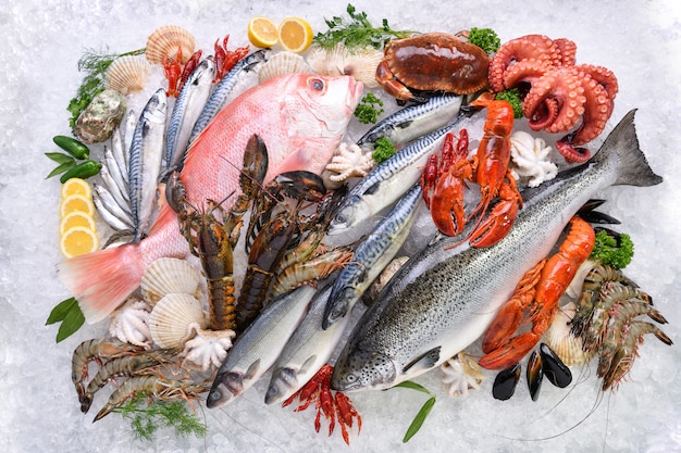 Photo vue de dessus d'une variété de poissons et fruits de mer frais sur glace