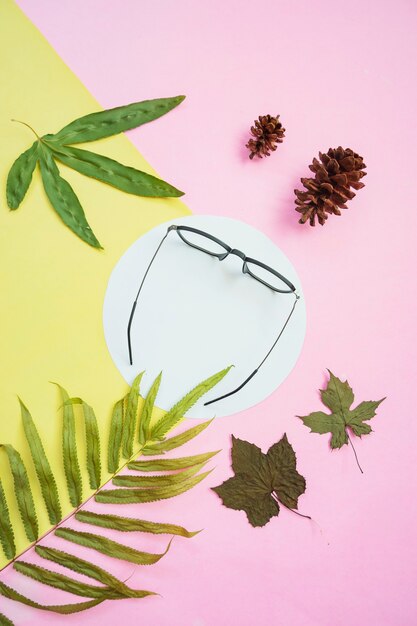 vue de dessus des verres carrés sur fond de couleur pastel jaune et rose. décoration de feuilles vertes et de fleurs de pin