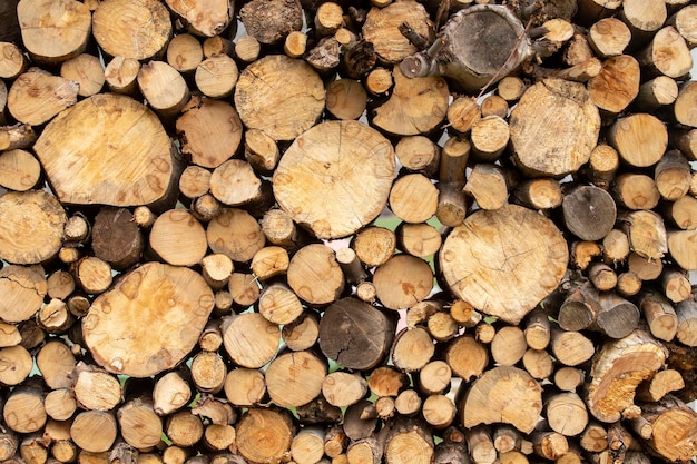 Vue détaillée d'un gros tas de troncs d'arbres Gros plan de troncs en bois dans la nature Fond en bois Fond de journal